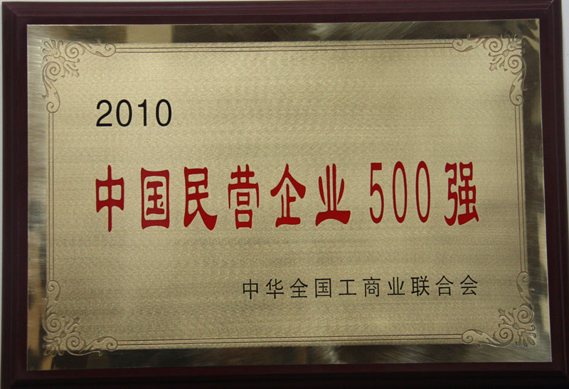 2010 �й���Ӫ��ҵ500ǿ