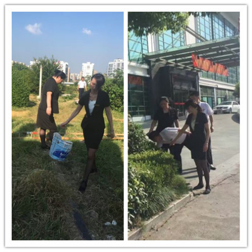 ����AG����|AG���˹�����