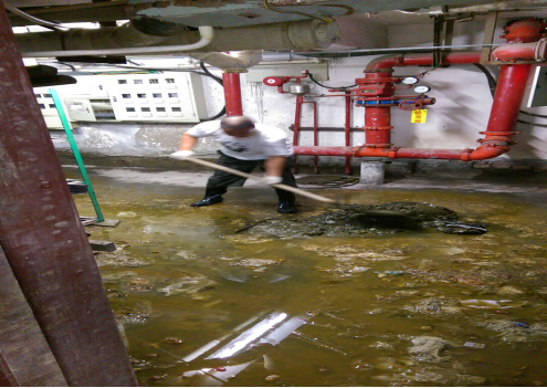 ����AG����|AG���˹�����