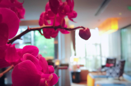 ����AG����|AG���˹�����