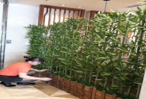 ����AG����|AG���˹�����