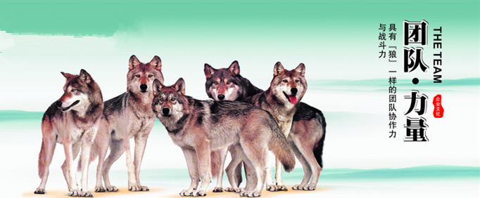 ����AG����|AG���˹�����