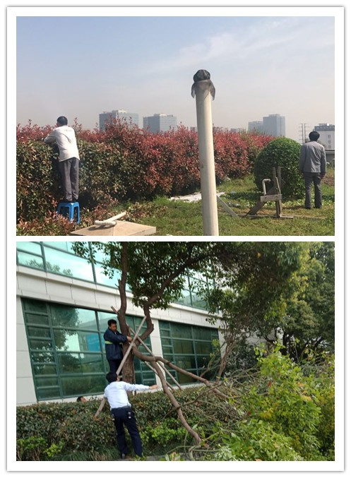 ����AG����|AG���˹�����