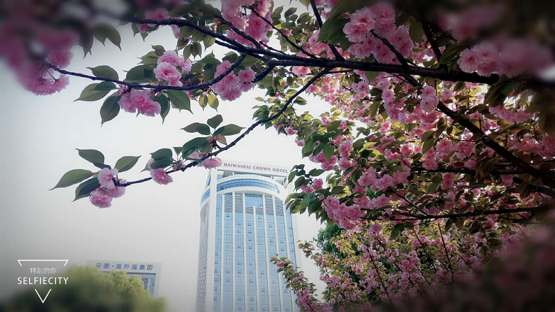 ����AG����|AG���˹�����