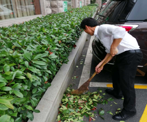 ����AG����|AG���˹�����