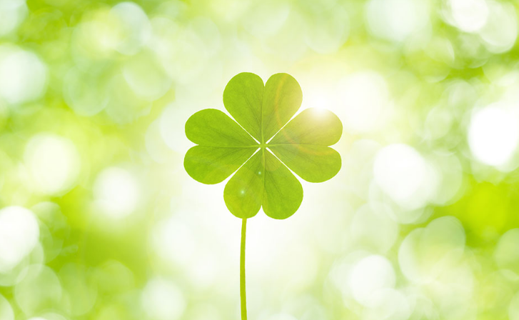 ����AG����|AG���˹�����