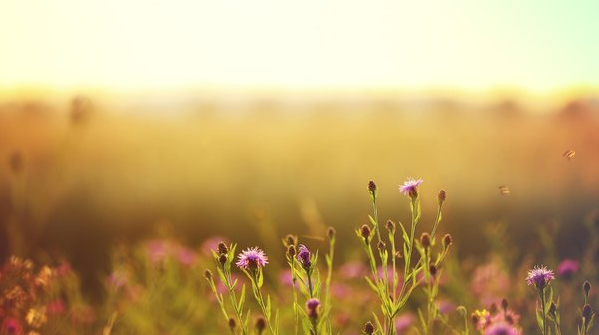 ����AG����|AG���˹�����