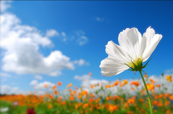 ����AG����|AG���˹�����