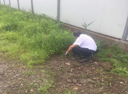 ����AG����|AG���˹�����