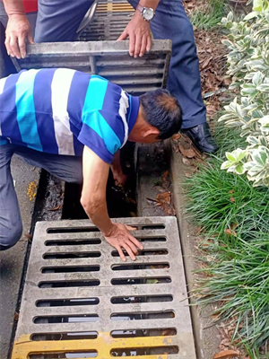 ����AG����|AG���˹�����