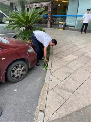 ����AG����|AG���˹�����