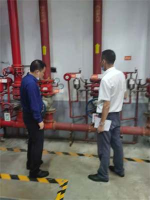 ����AG����|AG���˹�����