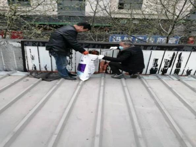 ����AG����|AG���˹�����