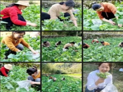 ����AG����|AG���˹�����