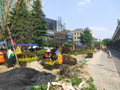 ����AG����|AG���˹�����