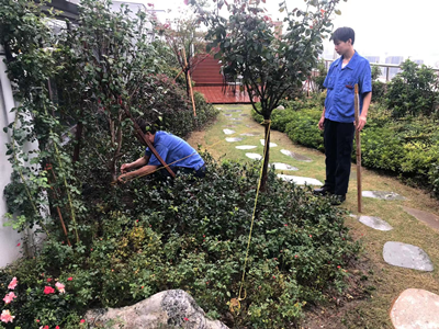 ����AG����|AG���˹�����